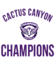 Cactus Canyon Softball Champions Core Fleece Camo Pullover Hooded Sweatshirt Designs