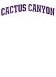 Cactus Canyon Softball Champions Core Fleece Camo Pullover Hooded Sweatshirt Designs