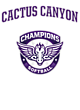 Cactus Canyon Softball Champions Core Fleece Camo Pullover Hooded Sweatshirt Designs