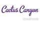 Cactus Canyon Softball Champions Core Fleece Camo Pullover Hooded Sweatshirt Designs