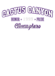 Cactus Canyon Softball Champions Core Fleece Camo Pullover Hooded Sweatshirt Designs