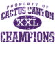 Cactus Canyon Softball Champions Core Fleece Camo Pullover Hooded Sweatshirt Designs