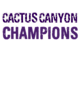 Cactus Canyon Softball Champions Core Fleece Camo Pullover Hooded Sweatshirt Designs