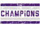Cactus Canyon Softball Champions Core Fleece Camo Pullover Hooded Sweatshirt Designs