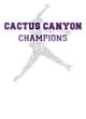 Cactus Canyon Softball Champions Core Fleece Camo Pullover Hooded Sweatshirt Designs
