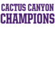 Cactus Canyon Softball Champions Core Fleece Camo Pullover Hooded Sweatshirt Designs