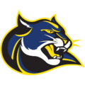 DR HENRY A WISE JR HIGH SCHOOL