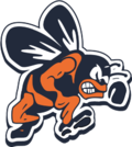 BRIDGMAN HIGH SCHOOL