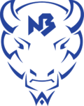 NEW BUFFALO HIGH SCHOOL