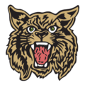 WAYNE COUNTY HIGH SCHOOL