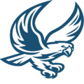 ABINGDON HIGH SCHOOL