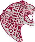 Desert View High School