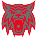 WOODROW WILSON HIGH SCHOOL