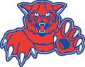 Mayer High School