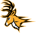 Round Valley High School