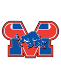 Mountain View High School