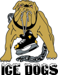 Westfield Ice Dogs Hockey