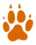 Lourdes University