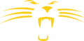 Hub City Lions