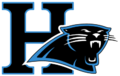 Hilliard Panthers Travel Baseball