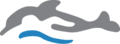 Blue Ash YMCA Swim Team