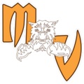 Mountain View High School