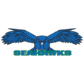South Lakes High School