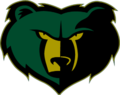 BASHA HIGH SCHOOL