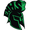 Elmont Lady Spartan's Basketball