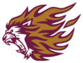 Capital Prep Harlem Charter School - Athletics