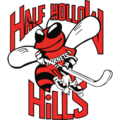 Half Hollow Hills Ice Hockey