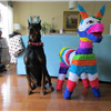 Dog n donkey