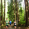 runners