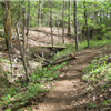 Whispering Pines Trail Run