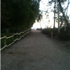 Anaheim Half and Yorba 5k
