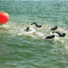 Swimmers around buoy