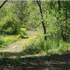 Indiana Trail 100 