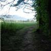 course
