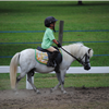 BCM Morring Farm