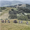 Rancho San Juan Trail Run