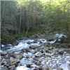 Middle Fork