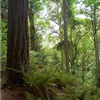 St. Edward State Park