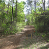 Whispering Pines Trail Run