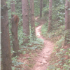 TRail