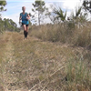 runner on wide trail