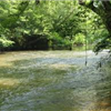 Etowah River