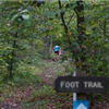 Taconic Crest Trail