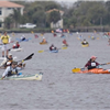 Battle on the Bayou