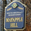 South Mountain Reservation Mayapple Ultras