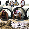 Bilge Rat Crawl